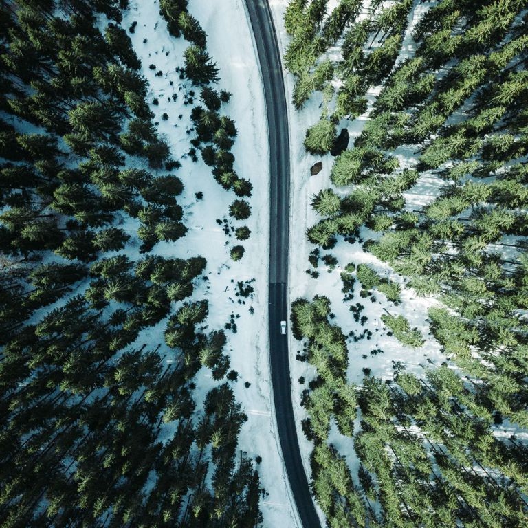 Drohnenaufnahme einer Straße durch den Wald
