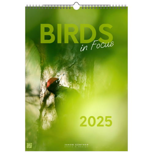 Deckblatt des Birds in Focus Kalender 2025 von Jakob Günther, Schwarzspecht eingerahmt von grünen Blättern.