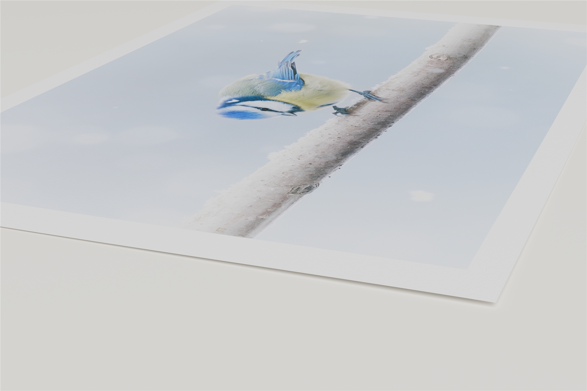 Render eines Fine Art Prints mit dem Motiv einer Blaumeise im Schneegestöber in der Seitenansicht