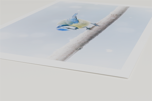 Render eines Fine Art Prints mit dem Motiv einer Blaumeise im Schneegestöber in der Seitenansicht